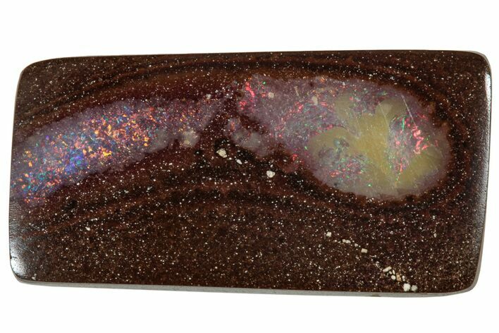 Colorful Boulder Opal Cabochon - Queensland, Australia #314596